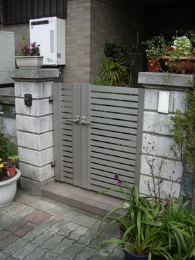 �G�N�X���C��